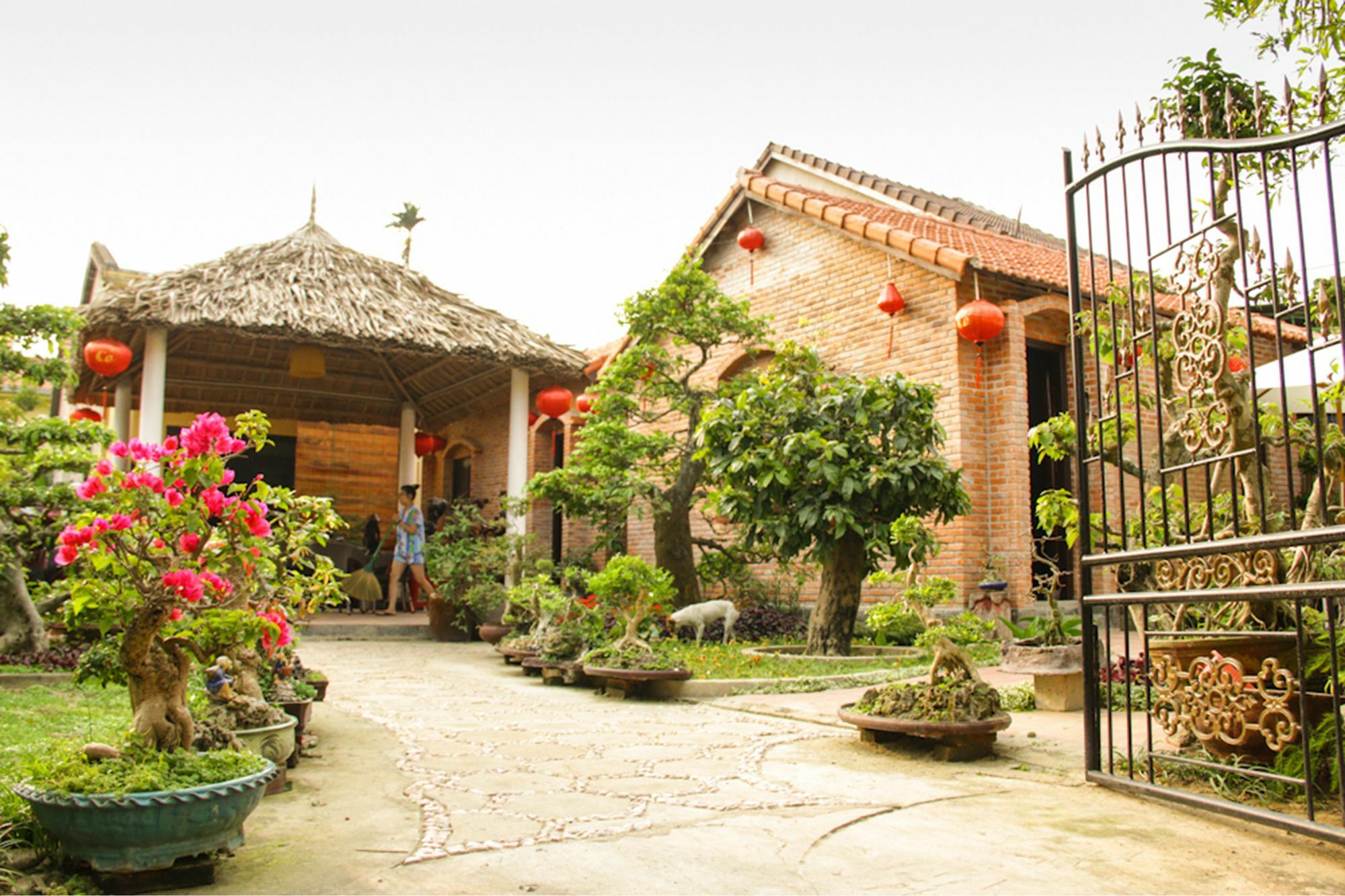 The Grass Vy Appartement Hội An Buitenkant foto
