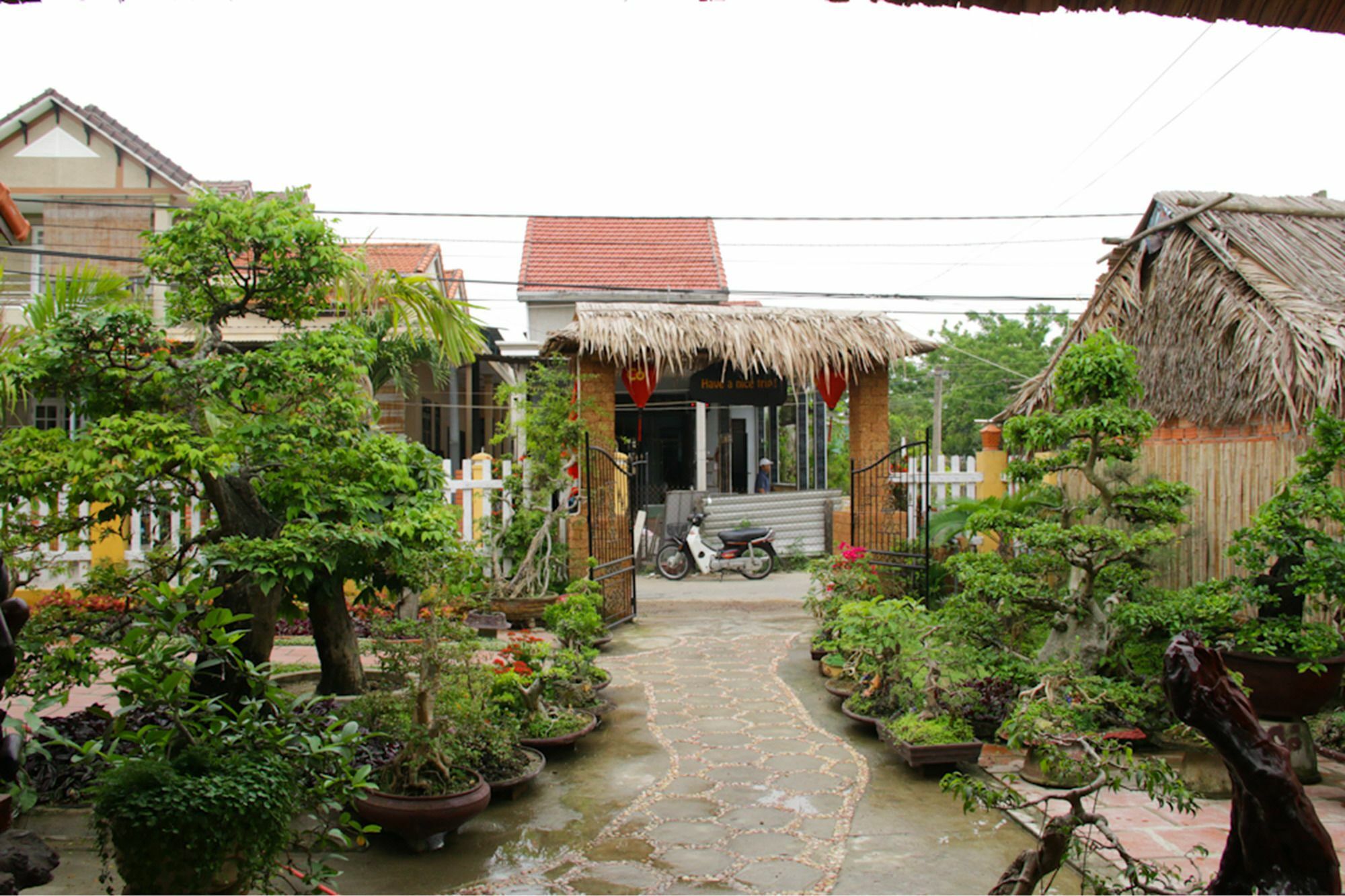 The Grass Vy Appartement Hội An Buitenkant foto